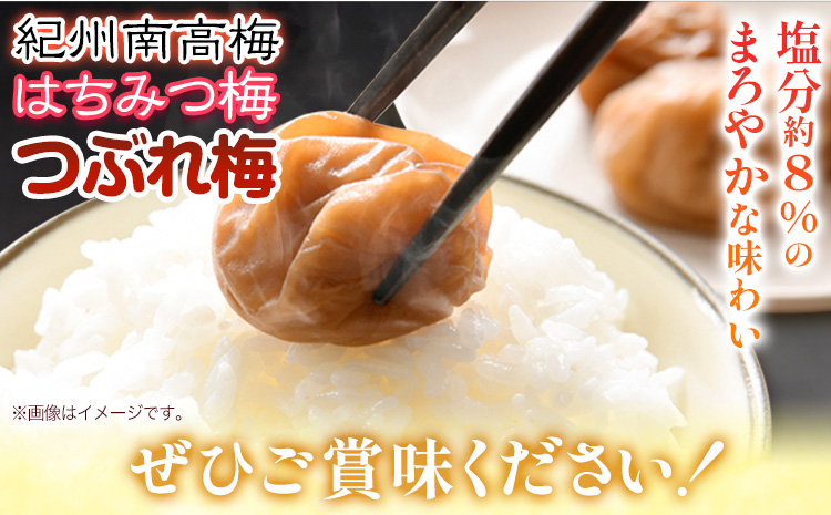 南高梅 はちみつ 梅 紀州南高梅 つぶれ 梅干し 約1.2kg 有限会社プラム《30日以内に出荷予定(土日祝除く)》和歌山県 日高町 送料無料 梅 うめ ウメ 南高梅 つぶれ梅 蜂蜜 紀州 梅干し訳あり梅干しつぶれ梅干しはちみつ梅干しウメボシ梅干し訳あり梅干し紀州梅干し蜂蜜梅干し