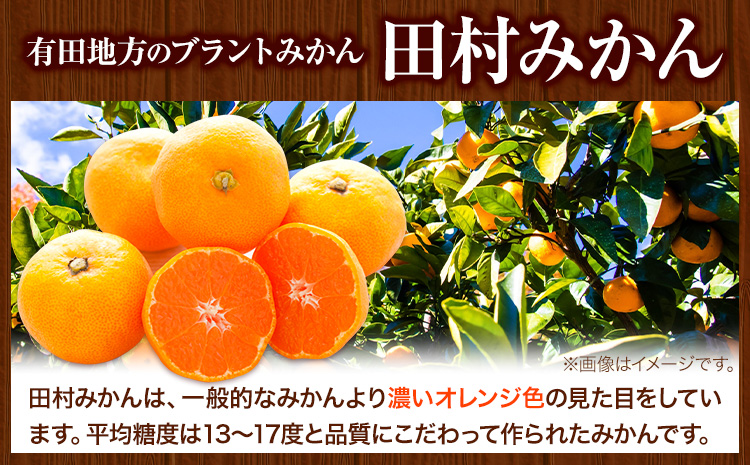 田村みかん の 新鮮 100％ ジュース「至極の一滴」 720ml×2本入り 厳選館 《30日以内に出荷予定(土日祝除く)》 和歌山県 日高町 オレンジジュース 田村みかん 100%使用