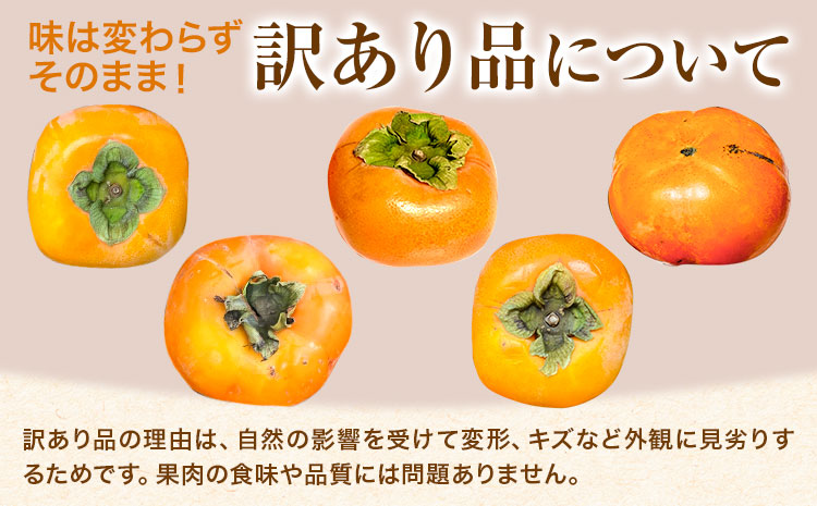 å®¶åºçš çš®ãªãæ¿ çŽ10kg èš³ãã æ± ç°é¹¿èµèŸ²åã10æäžæ¬-12æäžæ¬é åºè·ãåæå±±ç æ¥é«çº åæ ¹æ©çæ¿ å¹³æ žç¡æ¿ ã²ããããªããã ã«ã çš®ãªãæ¿