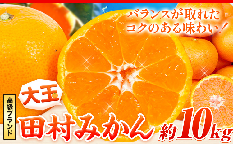 ＜先行予約＞高級ブランド 大玉サイズ 田村みかん 10kg 株式会社魚鶴商店《2025年11月下旬-2026年2月上旬頃出荷》 和歌山県 日高町  柑橘 フルーツ 大玉