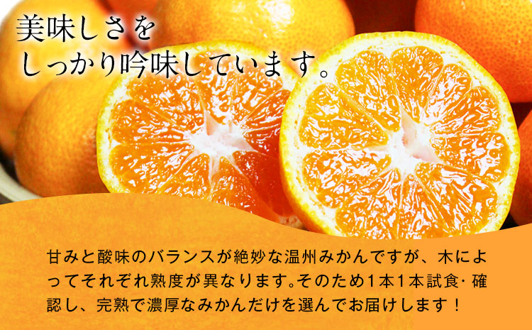 【先行予約】【ご家庭用訳アリ】 紀州有田産 濃厚完熟温州みかん 約5kg 株式会社魚鶴商店《2025年11月下旬-2026年2月上旬頃出荷予定》 和歌山県 日高町 みかん 温州みかん 完熟 濃厚 柑橘 ご家庭用