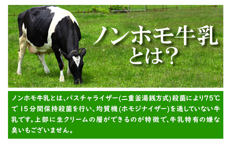 寺尾牧場のこだわり濃厚牛乳（ノンホモ牛乳）3本セット(900ml×3本) 厳選館《90日以内に出荷予定(土日祝除く)》 和歌山県 日高町 