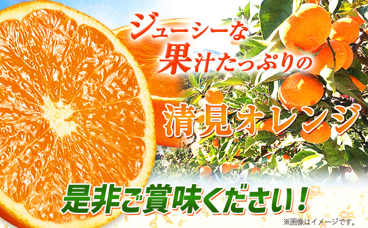 ＜先行予約＞とにかくジューシー 清見 オレンジ 5kg  株式会社魚鶴商店《2026年3月下旬-4月中旬頃出荷》和歌山県 日高町 柑橘 果物 フルーツ(F)