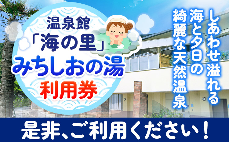 【温泉館「海の里」みちしおの湯】利用券　25枚組 《30日以内に出荷予定(土日祝除く)》和歌山県  日高町 日高町役場 温泉 チケット 