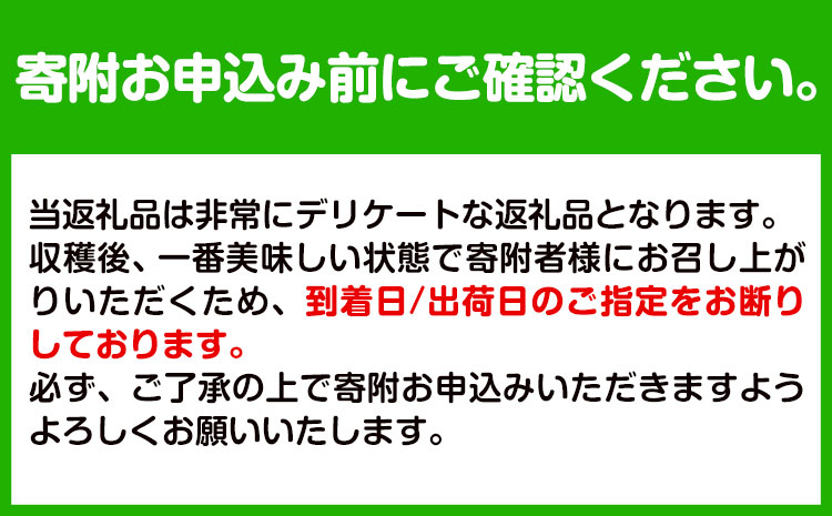 ＜先行予約＞和歌山県産 白鳳 桃 5～8玉入り 秀品 株式会社松源《2025年6月下旬-7月末より発送予定》和歌山県 日高町 果物 フルーツ 桃 もも 送料無料