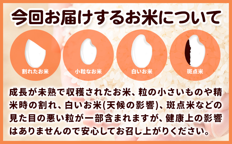 米 無洗米 こめ 令和6年産 和歌山県 日高町産 新品種 にじのきらめき 5kg 《60日以内に出荷予定(土日祝除く)》 和歌山県 日高町 コメ お米 ご飯 ごはん 精米 おこめ 単一原料