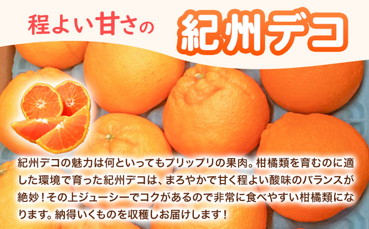 【先行予約】果肉プリプリ♪ 完熟紀州デコ(不知火) 約3kg 株式会社魚鶴《2027年2月下旬-3月中旬頃出荷》和歌山県 日高町 不知火 柑橘 果物 フルーツ 