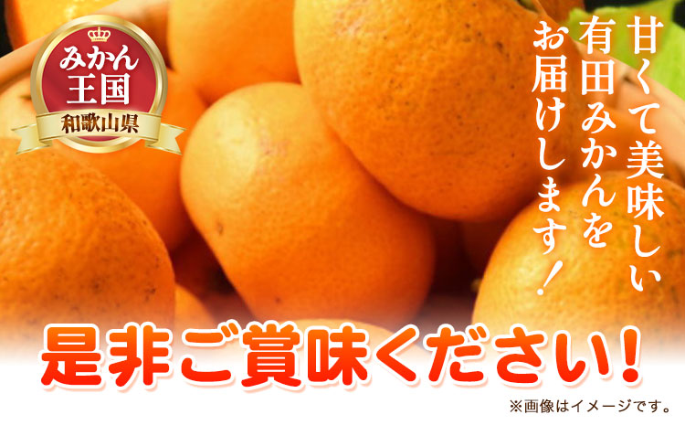 【訳あり・ご家庭用】和歌山有田みかん 5kg（S〜Lサイズいずれかお届け） 厳選館 《11月中旬-2月上旬頃出荷予定》 和歌山県 日高町 みかん 有田みかん 柑橘 フルーツ