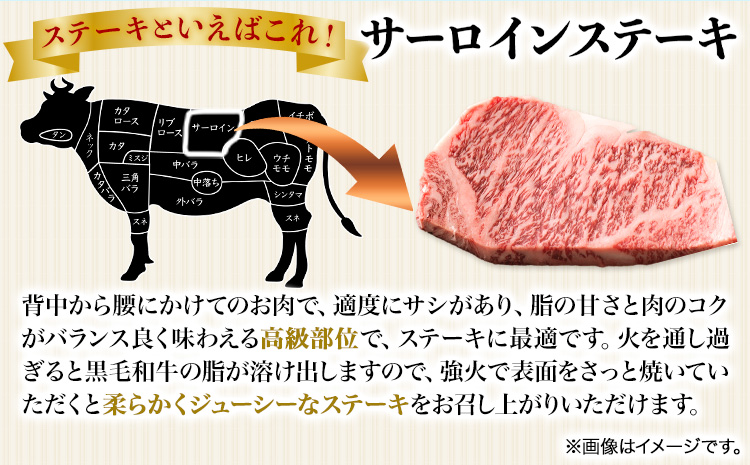 熊野牛 A4 以上 ヒレ シャトーブリアン ステーキ 100g×2枚 霜降り サーロイン ステーキ 180g×2枚 株式会社魚鶴商店《30日以内に出荷予定(土日祝除く)》 和歌山県 日高町 熊野牛 黒毛和牛 A4等級以上 ステーキ(F)
