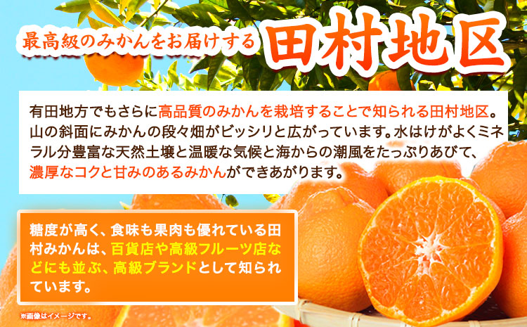 ãå
è¡äºçŽãé«çŽãã©ã³ãç°æã®å®ççŽå·ãã³(äžç¥ç«) çŽ4.5kg æ ªåŒäŒç€Ÿ éé¶Žååºã2026幎2æäžæ¬-3æäžé åºè·ãåæå±±ç æ¥é«çº ç°æå°åº äžç¥ç« ææ© æç© ãã«ãŒã ãã©ã³ãæå®(f)