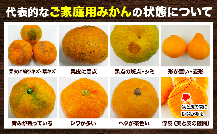 家庭用 大きな有田みかん 約2.5kg ＋250g （ 傷み補償分 ）【わけあり・訳あり】【光センサー選果】 池田鹿蔵農園@日高町（池田農園株式会社）《11月中旬-1月下旬頃出荷》日高町【配送不可地域あり】