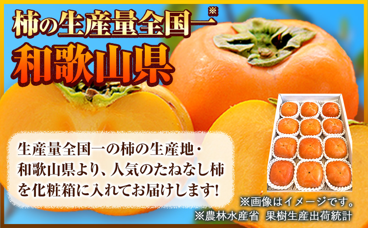 ◆先行予約◆和歌山産たねなし柿（L〜4Lサイズおまかせ）約7.5kg・秀品 《2025年10月上旬-11月中旬頃出荷》 和歌山県 日高町 かき 種なし