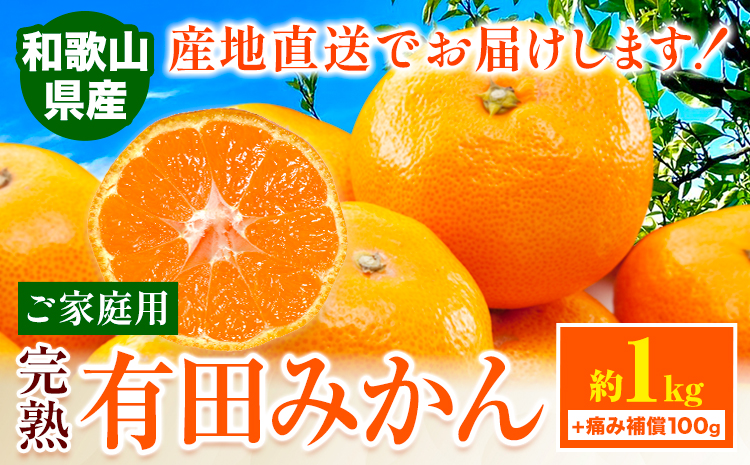 【先行予約】みかん ご 家庭用 完熟 有田みかん 約 1kg + 傷み補償 100g 有田マルシェ《12月上旬-12月下旬頃出荷》和歌山県 日高町 みかん 有田みかん 柑橘 フルーツ 完熟 訳あり みかん 蜜柑 ミカン 柑橘