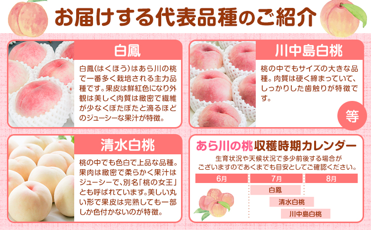 【先行予約】和歌山の厳選白桃【白鳳・清水白桃・川中島白桃 等】化粧箱入り 約750g 池田鹿蔵農園《7月上旬-8月中旬頃出荷》和歌山県 日高町 厳選 白桃 和歌山県産 白鳳 清水白桃 川中島白桃 桃 もも 果物 【配送不可地域あり】