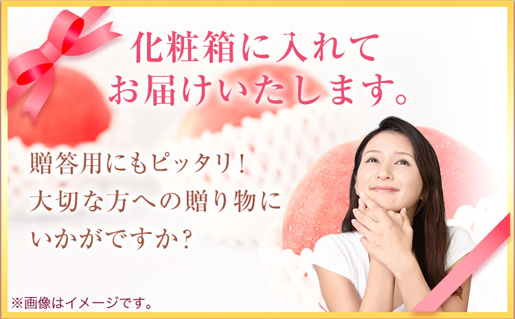 紀州和歌山産の桃 3玉 化粧箱入 株式会社魚鶴商店《2026年6月下旬-8月上旬より発送予定》 和歌山県 日高町 桃 もも モモ