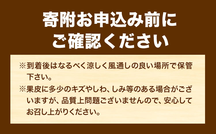 【先行予約】果肉プリプリ♪ 完熟紀州デコ(不知火) 約3kg 株式会社魚鶴《2027年2月下旬-3月中旬頃出荷》和歌山県 日高町 不知火 柑橘 果物 フルーツ 