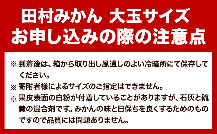 ＜先行予約＞高級ブランド 大玉サイズ 田村みかん 10kg 株式会社魚鶴商店《2025年11月下旬-2026年2月上旬頃出荷》 和歌山県 日高町  柑橘 フルーツ 大玉