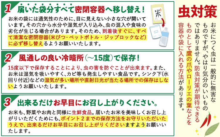 米 無洗米 こめ 令和6年産 和歌山県 日高町産 新品種 にじのきらめき 5kg 《60日以内に出荷予定(土日祝除く)》 和歌山県 日高町 コメ お米 ご飯 ごはん 精米 おこめ 単一原料