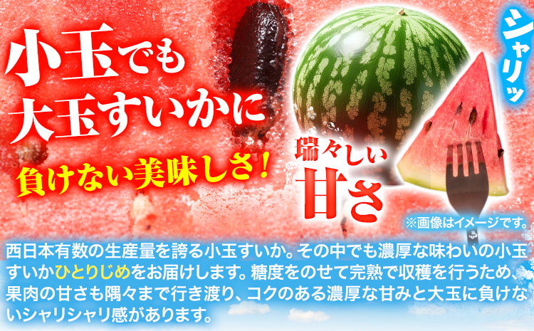 【先行予約】紀州和歌山産 小玉 スイカ 「ひとりじめ」 2玉 魚鶴商店《2025年6月上旬-6月下旬頃出荷》 和歌山県 日高町 スイカ スイーツ フルーツ 果物 野菜 スイカ すいか 夏 旬