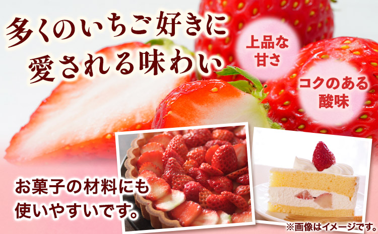 「まりひめ」和歌山県オリジナルいちご 約1200g 約1.2kg 約300g×4パック入 株式会社はし長 《1月上旬-2月末頃出荷》 和歌山県 日高町 フルーツ 果物 苺 いちご【配送不可地域あり】