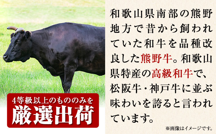 和歌山産 高級和牛 熊野牛 ロースすき焼き用 約700g エバグリーン《30日以内に出荷予定(土日祝除く)》 和歌山県 日高町 熊野牛 牛 うし 牛肉 熊野牛 和牛 高級