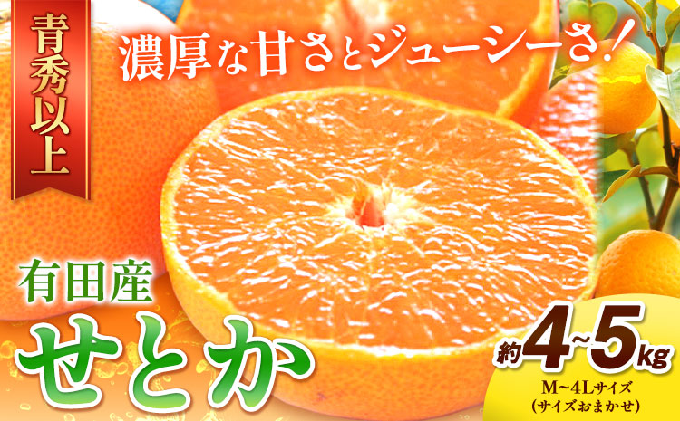 一度は食べていただきたい! 有田産のせとか 青秀以上 約4〜5kg （サイズおまかせ） 厳選館 《2025年2月中旬-3月下旬頃出荷》 和歌山県 日高町 せとか 柑橘 有田産 みかん フルーツ 果物 くだもの