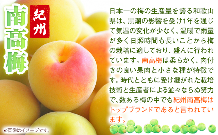 南高梅 tomato-ume とまと 梅 100g×4 有限会社プラム《30日以内に出荷予定(土日祝除く)》和歌山県 日高町 送料無料 梅 うめ ウメ 南高梅 紀州 トマト梅 送料無料