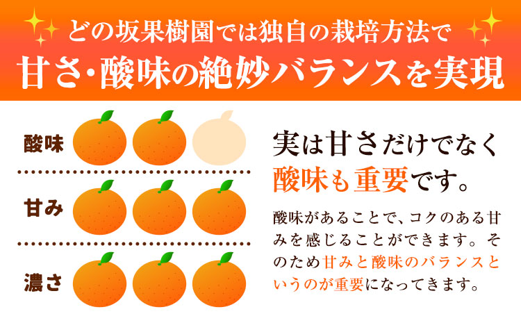 【先行予約】早生 みかん 約 5kg (2S～Lサイズ) どの坂果樹園《12月上旬-2027年2月上旬頃出荷》 和歌山県 日高町 みかん 早生 旬 柑橘 フルーツ 果物 蜜柑 ミカン 2026年出荷出荷