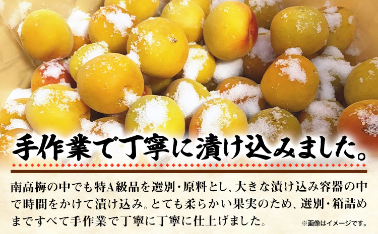 梅干し はちみつ梅干し 1kg 中玉 2L 和歌山県産 株式会社とち亀物産 《30日以内に出荷予定(土日祝除く)》 和歌山県 日高町 梅 うめ はちみつ梅 蜂蜜 梅干し うめぼし 紀州南高梅 漬物 漬け物 ごはんのお供