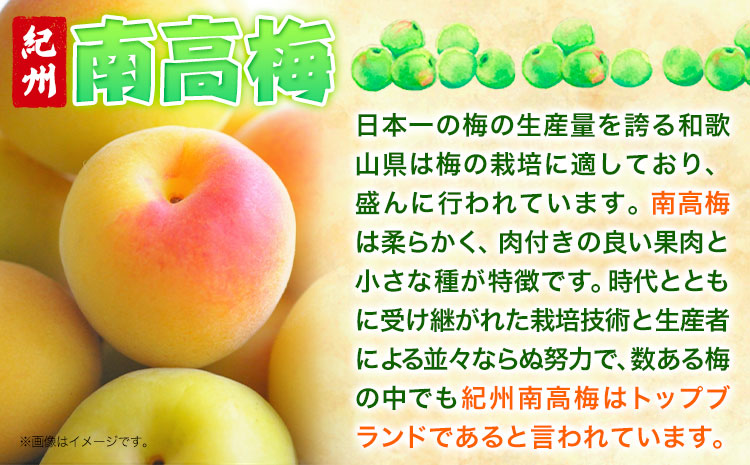 梅干し 甘口しそ梅干し 1kg 大玉 3L 和歌山県産 株式会社とち亀物産 《30日以内に出荷予定(土日祝除く)》 和歌山県 日高町 梅 うめ しそ 梅干し うめぼし 紀州南高梅 漬物 漬け物 ごはんのお供