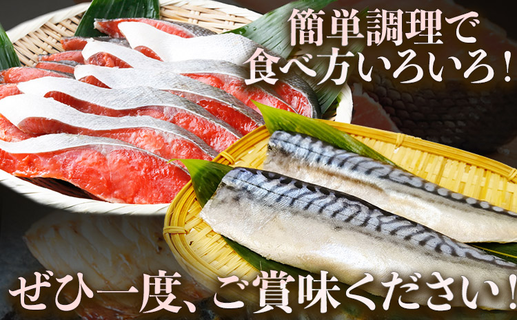 霑キ縺」縺溘i繧ウ繝ャ!鬲夐カエ蝠蠎励ョ螟ゥ辟カ邏繧オ繧ア1kg &蝪ゥ縺輔ー繝輔ぅ繝ャ6譫壹そ繝繝 譬ェ蠑丈シ夂、セ鬲夐カエ縲30譌・莉・蜀縺ォ蜃コ闕キ莠亥ョ(蝨滓律逾晞勁縺)縲 蜥梧ュ悟アア逵 譌・鬮倡伴 縺輔ー 魃 魄ュ 繧オ繧ア 縺輔¢ 縺励c縺(f-4)