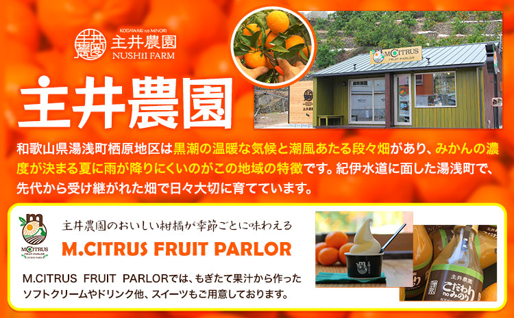 主井農園の季節のこだわりみのりセット ご家庭用 約 5kg 主井農園《2月中旬-4月下旬頃出荷予定》 和歌山県 日高町 柑橘 みかん オレンジ せとか 清見オレンジ たまみ 不知火 デコポン 八朔 レモン 果物 詰合せ 訳あり 送料無料