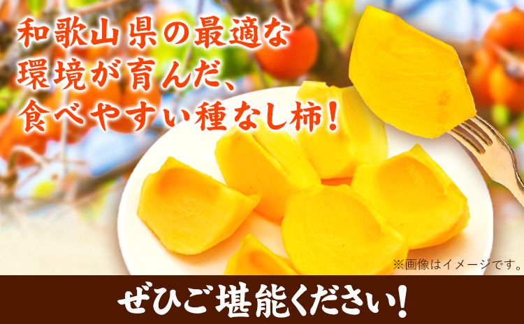 ◆先行予約◆和歌山産たねなし柿（L〜4Lサイズおまかせ）約7.5kg・秀品 《2025年10月上旬-11月中旬頃出荷》 和歌山県 日高町 かき 種なし