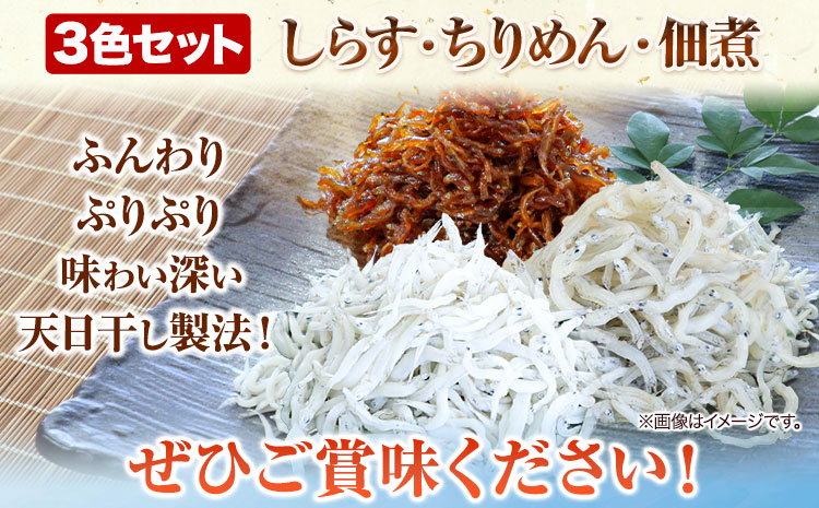 縺励i縺 縺。繧翫a繧 菴辣ョ 蜷郁ィ1260g 3濶イ繧サ繝繝医碁サ呈スョ縲 kuroshio 螟ァ莠疲オキ逕」縲60譌・莉・蜀縺ォ蜃コ闕キ莠亥ョ(蝨滓律逾晞勁縺)縲句柱豁悟アア逵 譌・鬮倡伴 縺励i縺 縺。繧翫a繧 菴辣ョ 繧サ繝繝