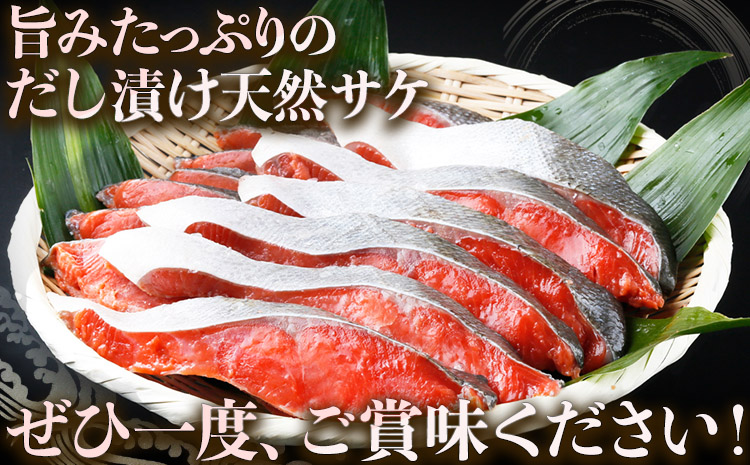 和歌山 魚鶴仕込の 天然 紅 サケ 切身 約 1kg 株式会社魚鶴商店《30日以内に出荷予定(土日祝除く)》 和歌山県 日高町 鮭 サケ さけ しゃけ(F-5)