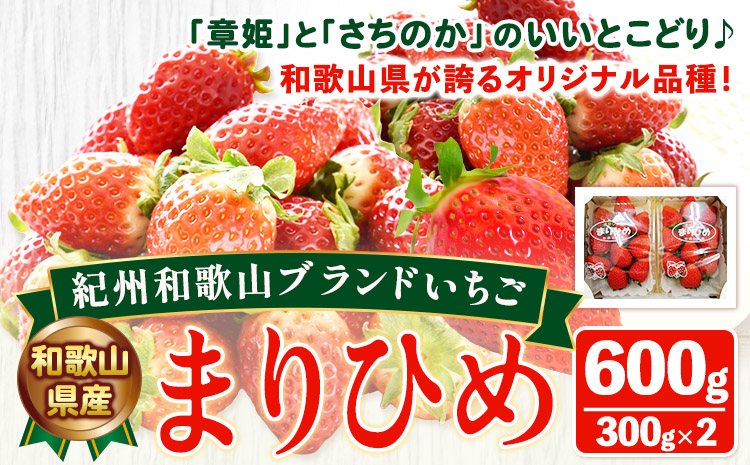 「まりひめ」和歌山県オリジナルいちご 約600g 約300g×2パック入 株式会社はし長 《1月上旬-2月末頃出荷》 和歌山県 日高町 フルーツ 果物 苺 いちご【配送不可地域あり】