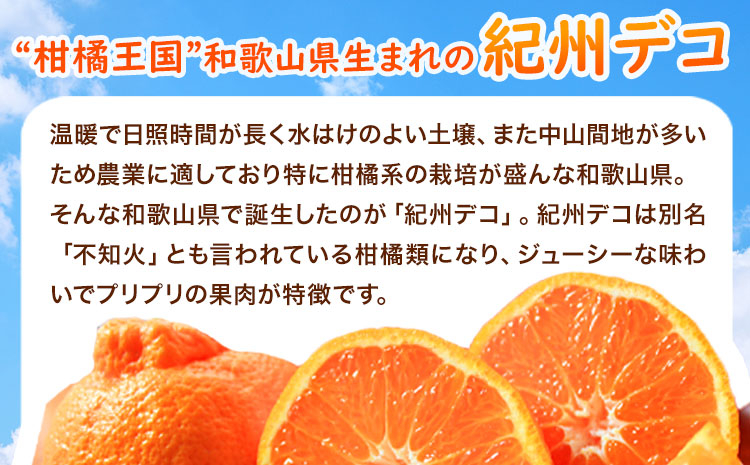 【先行予約】高級ブランド田村の完熟紀州デコ(不知火) 約4.5kg 株式会社 魚鶴商店《2027年2月下旬-3月中頃出荷》和歌山県 日高町 田村地区 不知火  柑橘 果物 フルーツ ブランド果実