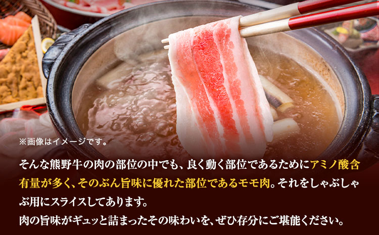 【和歌山県のブランド牛】熊野牛 モモしゃぶしゃぶ用 500g  厳選館《90日以内に出荷予定(土日祝除く)》 和歌山県 日高町 熊野牛 牛 うし もも もも肉 モモ しゃぶしゃぶ