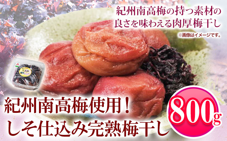 紀州南高梅使用 しそ仕込み完熟梅干し 800g 厳選館《90日以内に出荷予定(土日祝除く)》和歌山県 日高町 梅干し しそ仕込み 紀州南高梅 送料無料