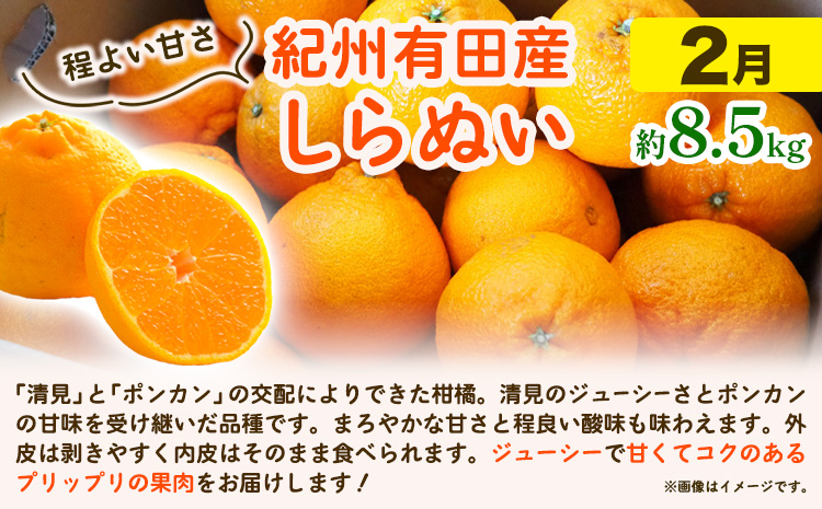 【発送月固定定期便】紀州 和歌山産 旬の ご家庭用 柑橘 セット (みかん 不知火 清見)【全３回】 魚鶴商店《1月上旬-3月末頃出荷予定(土日祝除く)》 和歌山県 日高町 みかん 不知火 清見 オレンジ 柑橘 蜜柑 果物 フルーツ 訳あり ギフト 定期 定期便 くだもの 果物 果物定期便