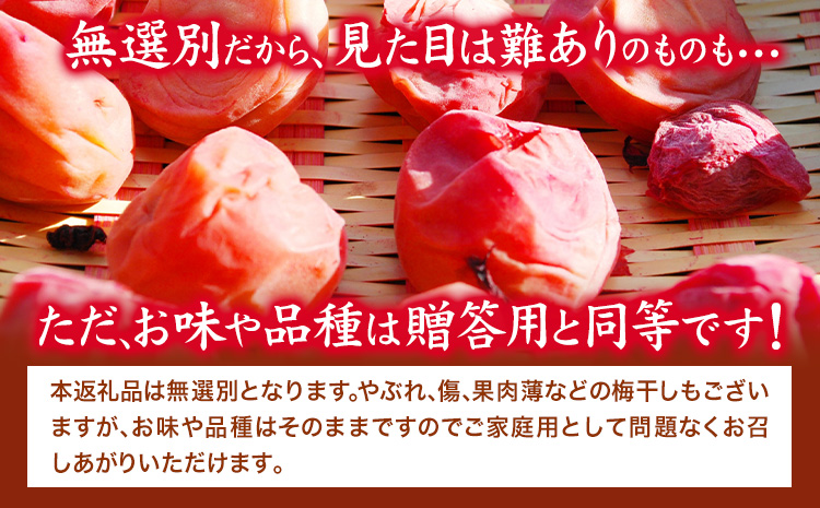 紀州南高梅使用 しそ仕込み完熟梅干し 無選別 1kg 厳選館《90日以内に出荷予定(土日祝除く)》和歌山県 日高町 梅干し しそ仕込み 紀州南高梅 送料無料