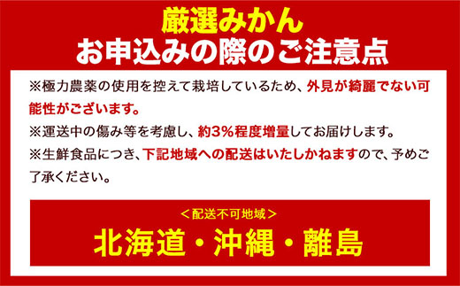 ＜先行予約＞厳選　超熟有田みかん2kg+60g（傷み補償分）【自分史上一番みかん】【光センサー選果】池田鹿蔵農園@日高町（池田農園株式会社）《11月上旬-12月末頃出荷》和歌山県 日高町【配送不可地域あり】