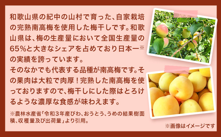 紀州南高梅使用　はちみつうす塩味完熟梅干し 無選別1kg 厳選館《90日以内に出荷予定(土日祝除く)》和歌山県 日高町 梅干し はちみつうす塩梅 紀州南高梅 送料無料