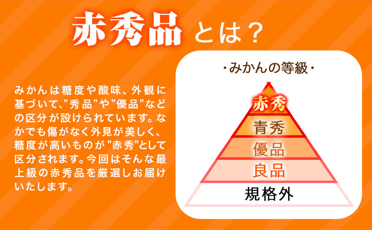 ＜先行予約＞赤秀品　紀州有田産 濃厚完熟温州みかん 3kg(MサイズまたはSサイズ) 株式会社魚鶴商店《2025年11月下旬-2026年2月上旬頃出荷》和歌山県 日高町 みかん ミカン 蜜柑 フルーツ 柑橘