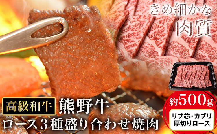 和歌山産 高級和牛 熊野牛 ロース盛合せ焼肉 約500g エバグリーン《30日以内に出荷予定(土日祝除く)》 和歌山県 日高町 牛 うし 牛肉 熊野牛 和牛 高級（F)