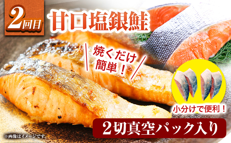 【定期便 全3回】 E サバフィレ 8枚 銀鮭切身 8枚 紅鮭切身 1kg 株式会社魚鶴商店《お申し込み月の翌月より出荷開始》 和歌山県 日高町 鮭 さけ 紅さけ 切り身 さば 塩さば 焼き魚 焼くだけ 簡単 魚 さかな