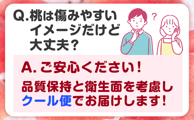 ＜先行予約＞和歌山県産 川中島白桃 5～8玉入り 秀品 株式会社松源《2025年7月下旬-8月下旬より発送予定》和歌山県 日高町 果物 フルーツ 桃 もも 送料無料