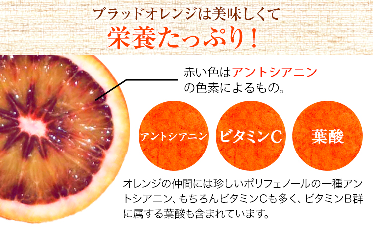 ＜先行予約＞紀州有田産ブラッド オレンジ 約 5kg【ご家庭用】 魚鶴商店《2026年3月上旬-3月下旬頃出荷》 和歌山県 日高町 紀州有田産 オレンジ みかん ご家庭用
