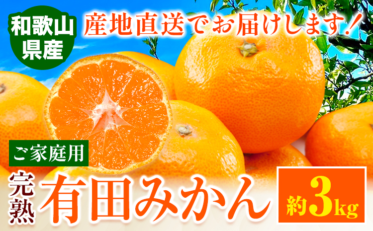 【先行予約】みかん ご 家庭用 完熟 有田みかん 約 3kg 有田マルシェ《12月上旬-12月下旬頃出荷》和歌山県 日高町 みかん 有田みかん 柑橘 フルーツ 完熟 訳あり みかん 蜜柑 ミカン 柑橘