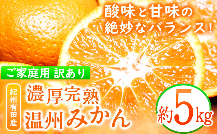 【先行予約】【ご家庭用訳アリ】 紀州有田産 濃厚完熟温州みかん 約5kg 株式会社魚鶴商店《2025年11月下旬-2026年2月上旬頃出荷予定》 和歌山県 日高町 みかん 温州みかん 完熟 濃厚 柑橘 ご家庭用